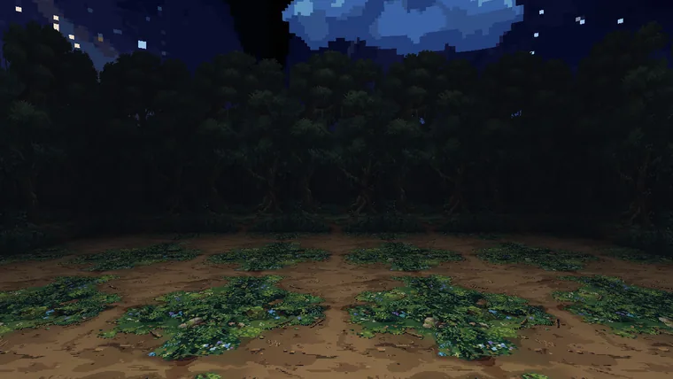 The same road after dark